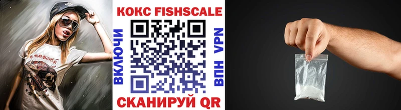 Купить закладки  Болохово  КОКАИН Fish Scale 